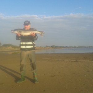 Profilbild von Rainer Schreiber