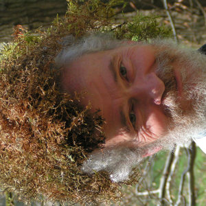 Profilbild von Rainer Wiertz