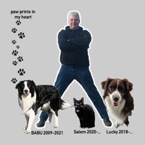 Profilbild von Ralf Bockhorn