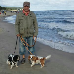 Profilbild von Ralf Höger