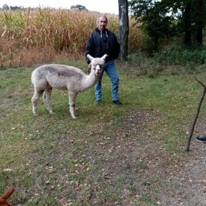 Profilbild von Ralf Klie