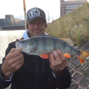 Profilbild von Ralf Korfmann