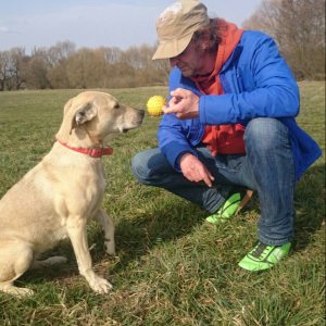 Profilbild von Ralf Rümmler