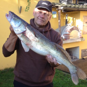 Profilbild von Ralf Scholten