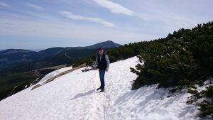 Profilbild von Ralf Scholze