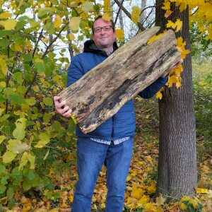 Profilbild von Ralf Zimmer