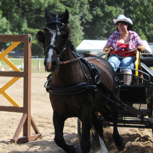 Profilbild von Ramona Kielblock