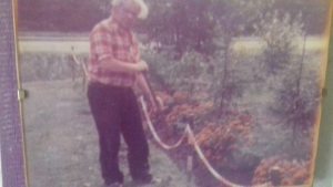 Profilbild von Ramona Schubert