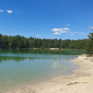 Profilbild von Ramona Titze