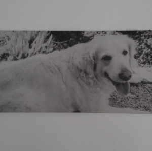 Profilbild von Regina Jonasson