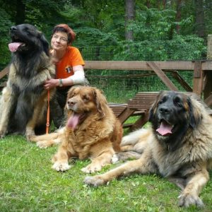 Profilbild von Regina Miethe