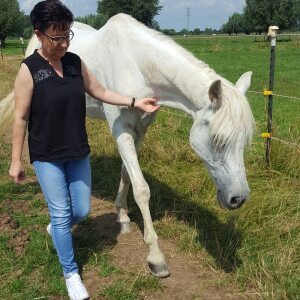 Profilbild von Regina Wagner
