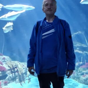 Profilbild von Reinhard Schubert