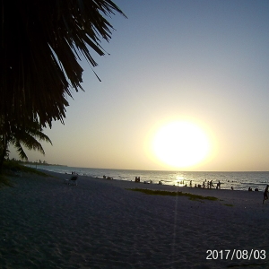 Profilbild von Reka Pinter