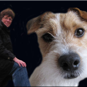 Profilbild von Renate Möller