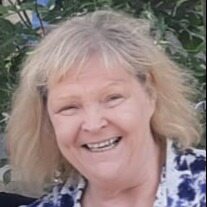 Profilbild von Renate Petri
