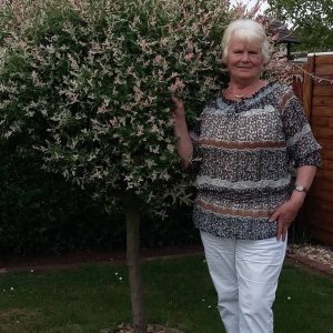 Profilbild von Renate Verhoeven