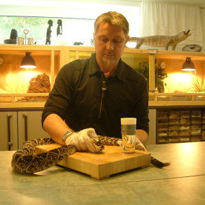 Profilbild von René Belaschke