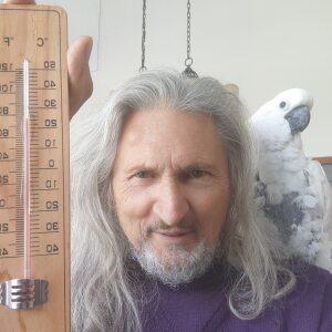 Profilbild von René Klingseisen
