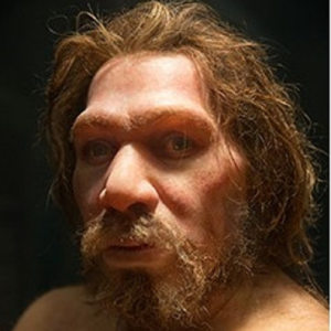 Profilbild von Reno Ohlenbostel