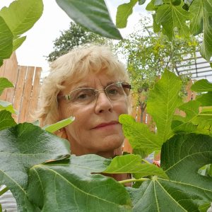 Profilbild von Rita Schmidt