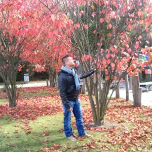 Profilbild von Robert Ko