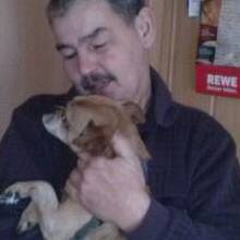 Profilbild von Rolf Bodenheim