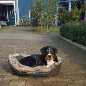 Profilbild von Rolf Lühmann