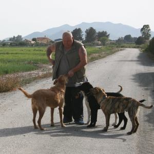 Profilbild von Rolf Mense