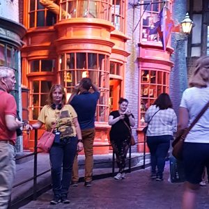 Profilbild von Romy Hornig