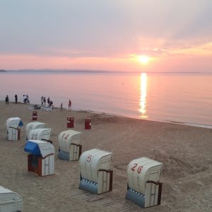 Profilbild von Ronald Decker