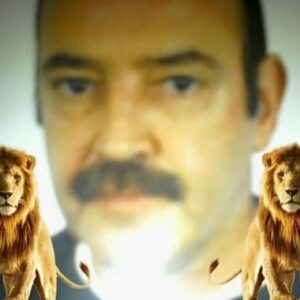 Profilbild von Ronald Obst