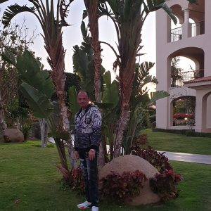 Profilbild von Ronny Hoffmann