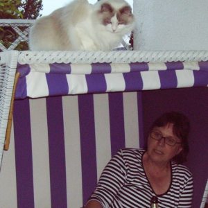 Profilbild von Rosemarie Koch