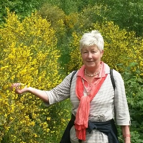 Profilbild von Rosemarie Scheler