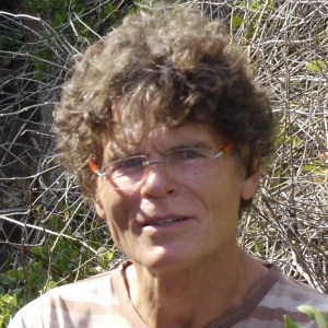 Profilbild von Rudolf Rembold