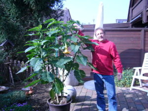 Profilbild von Rüdiger Reckewell