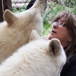 Profilbild von Sabine Marion Königseder