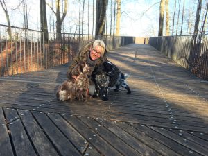 Profilbild von Sabine Susanne Stern