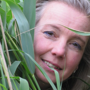 Profilbild von Sabine Hermannsen-Meierfrankenfeld