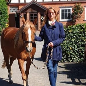 Profilbild von Sabine Juchert
