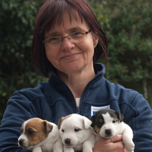 Profilbild von Sabine Schauch