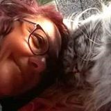 Profilbild von Sabine Tröger