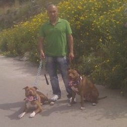 Profilbild von Salvatore Stallone