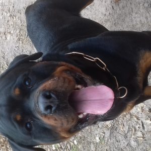 Profilbild von Sandra Angermeier