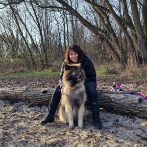 Profilbild von Sandra Niemz-Vogt