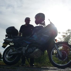 Profilbild von Sascha Warnke