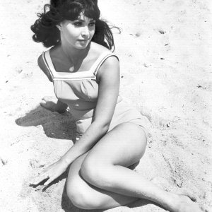 Profilbild von Sebastian Haensel