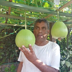Profilbild von Sekander Sayeed