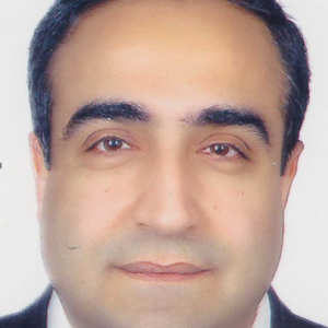 Profilbild von Serdal Üngör